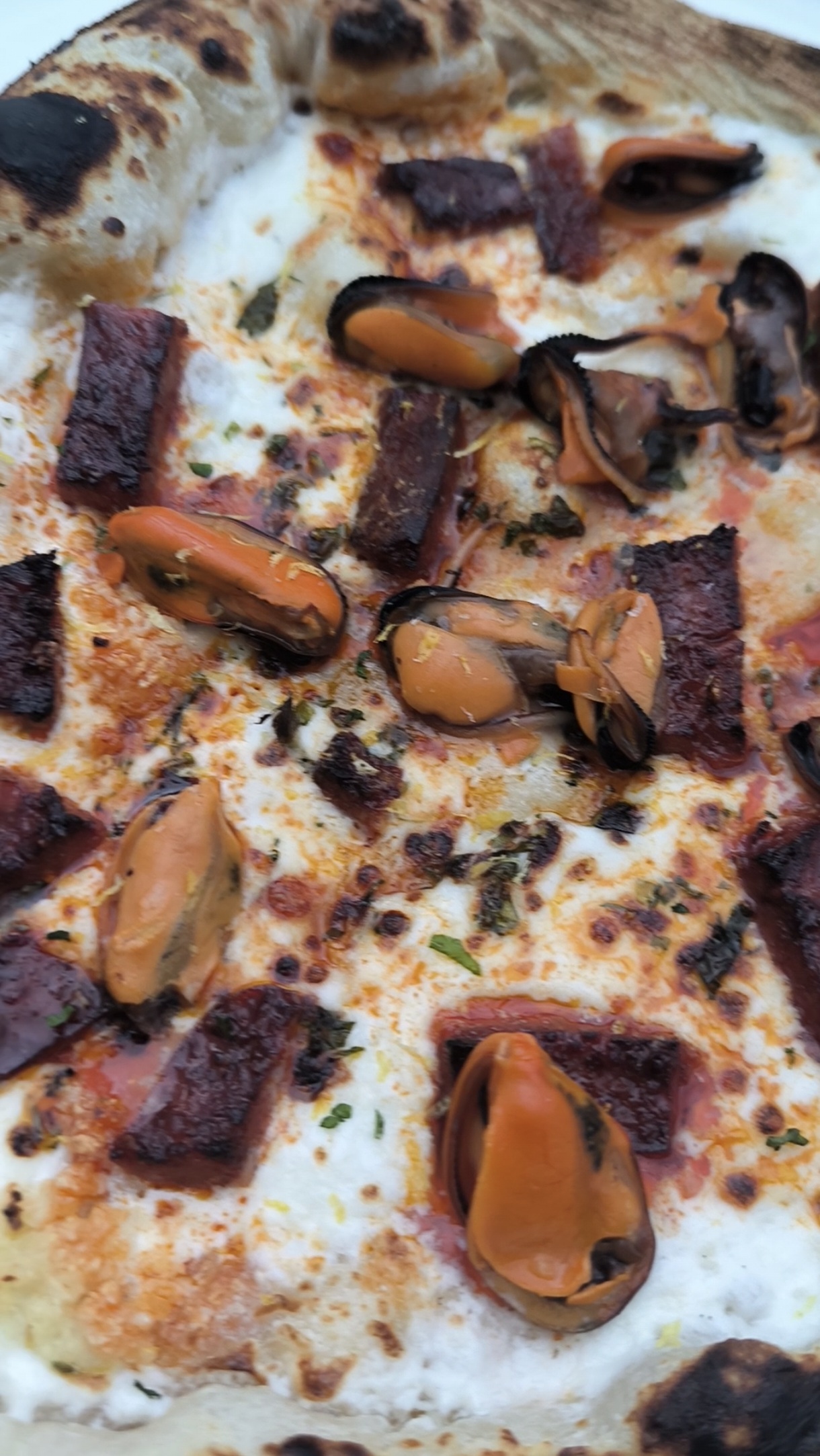 Pizza aux Moules