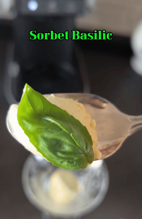Sorbet Basilic